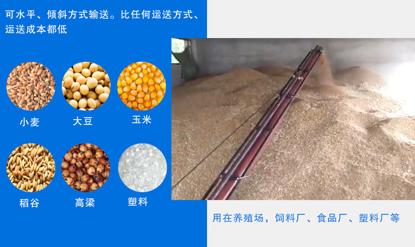 輸送（sòng）領（lǐng）域