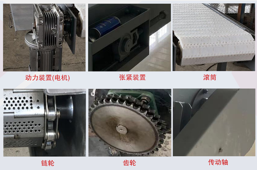塑料（liào）鏈板輸送（sòng）機細節